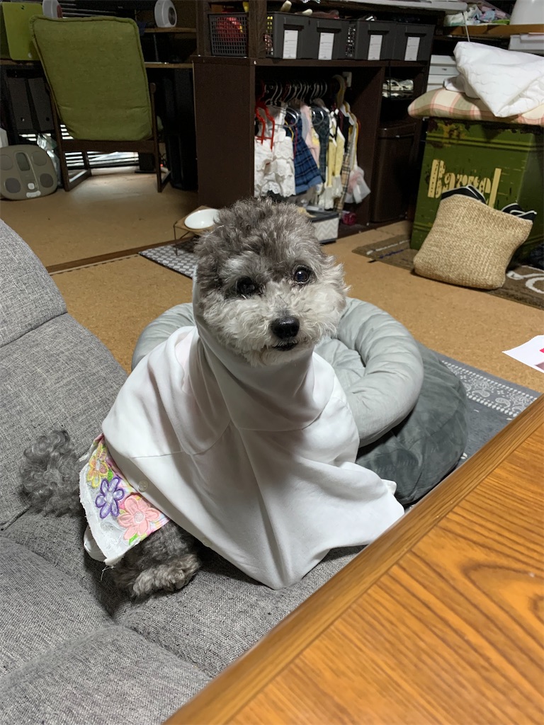 さっかりんとは スポーツの人気 最新記事を集めました はてな