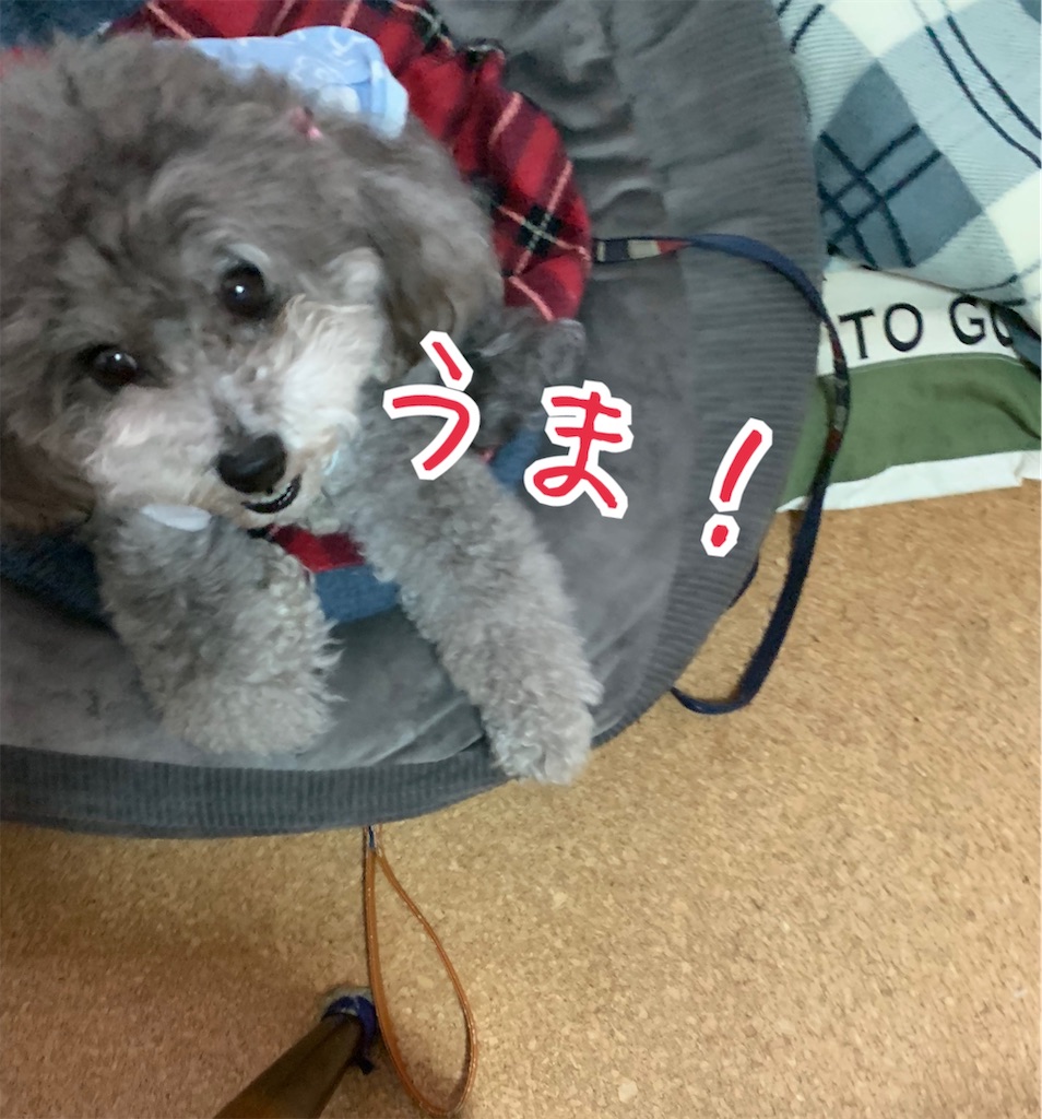 f:id:kuutonon:20210914221915j:image f:id:kuutonon:20210914221915j:image