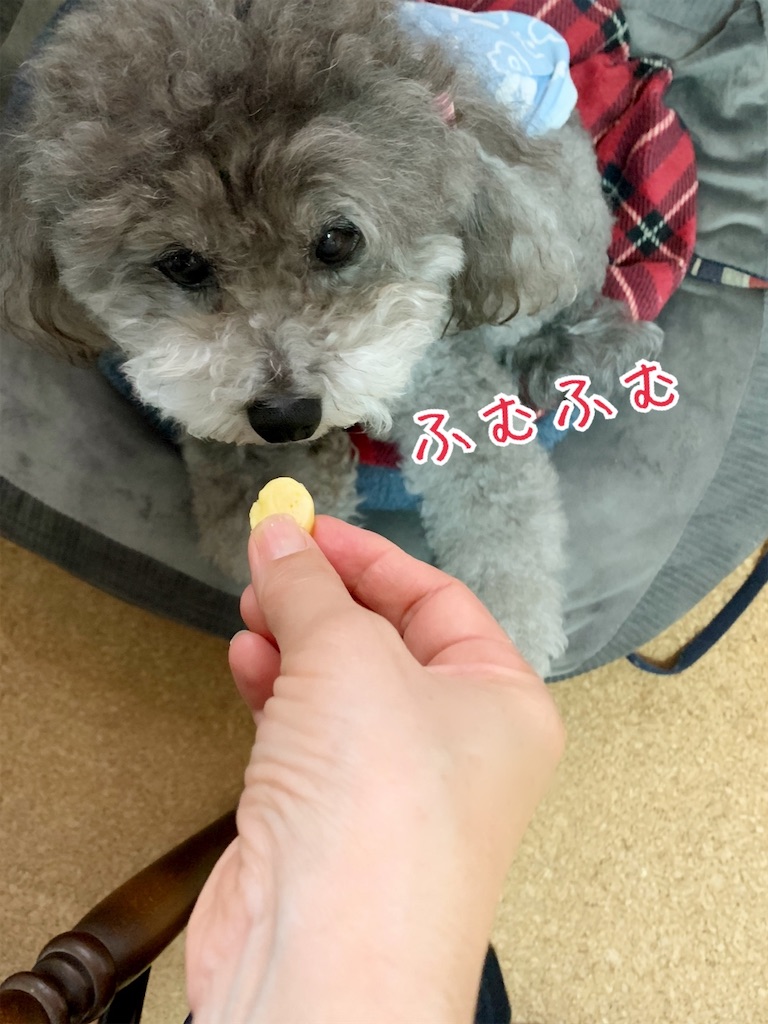 f:id:kuutonon:20210914221918j:image f:id:kuutonon:20210914221918j:image