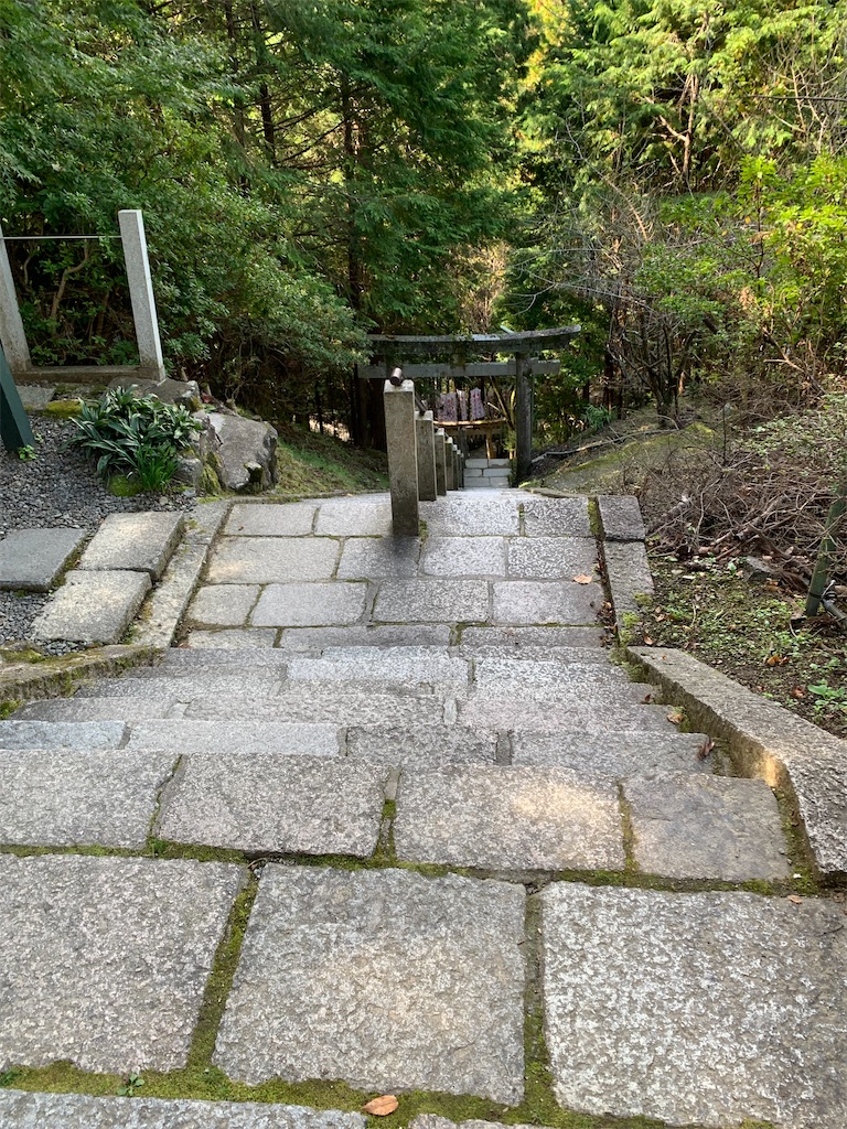 f:id:kuutonon:20211105213222j:image