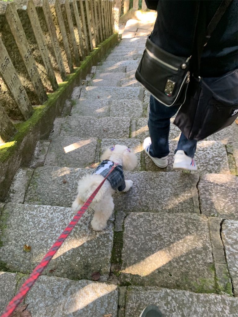 f:id:kuutonon:20211105213224j:image