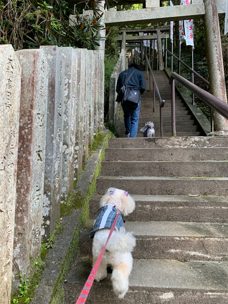 f:id:kuutonon:20211107085339j:image