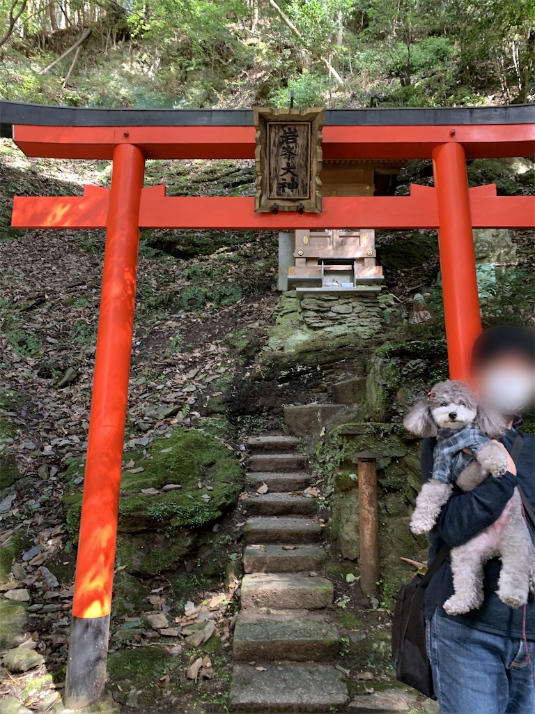 f:id:kuutonon:20211107085745j:image