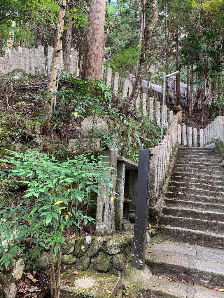 f:id:kuutonon:20211107171423j:image