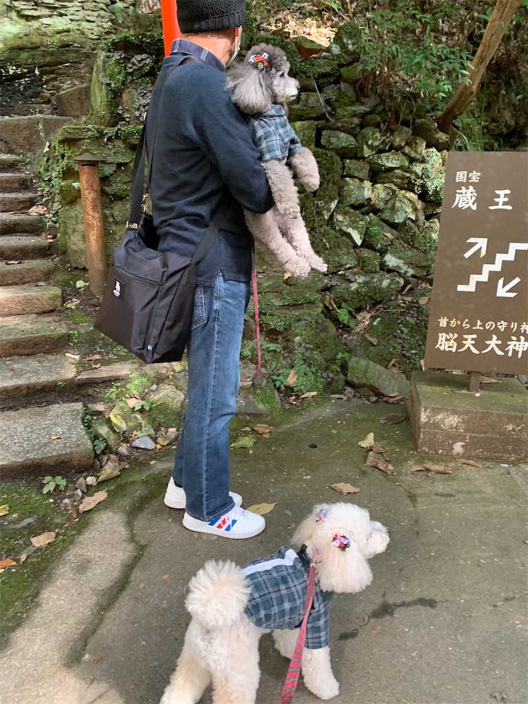 f:id:kuutonon:20211107171436j:image