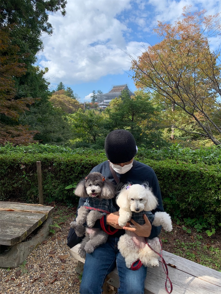 f:id:kuutonon:20211107172401j:image