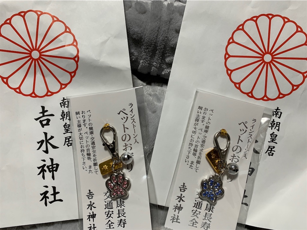 f:id:kuutonon:20211107215750j:image