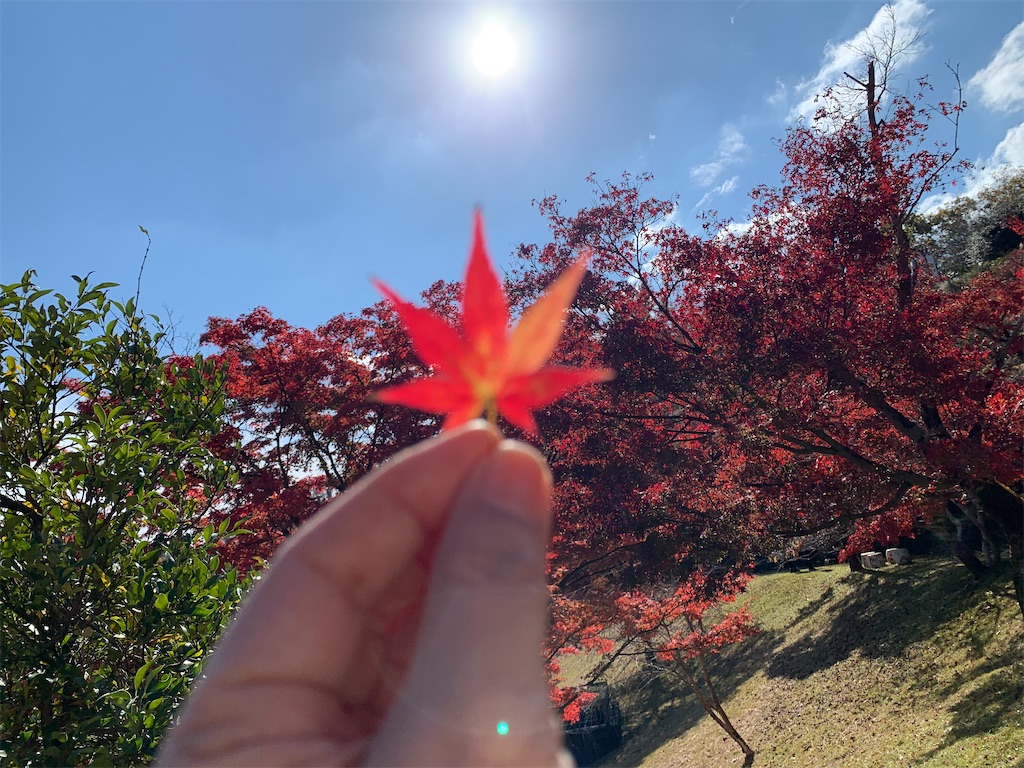 f:id:kuutonon:20211108215027j:image