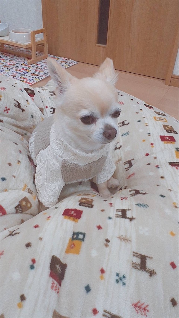 f:id:kuutonon:20211202222335j:image