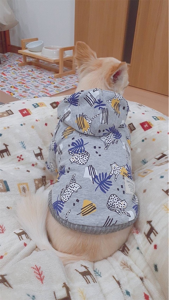 f:id:kuutonon:20211202222403j:image