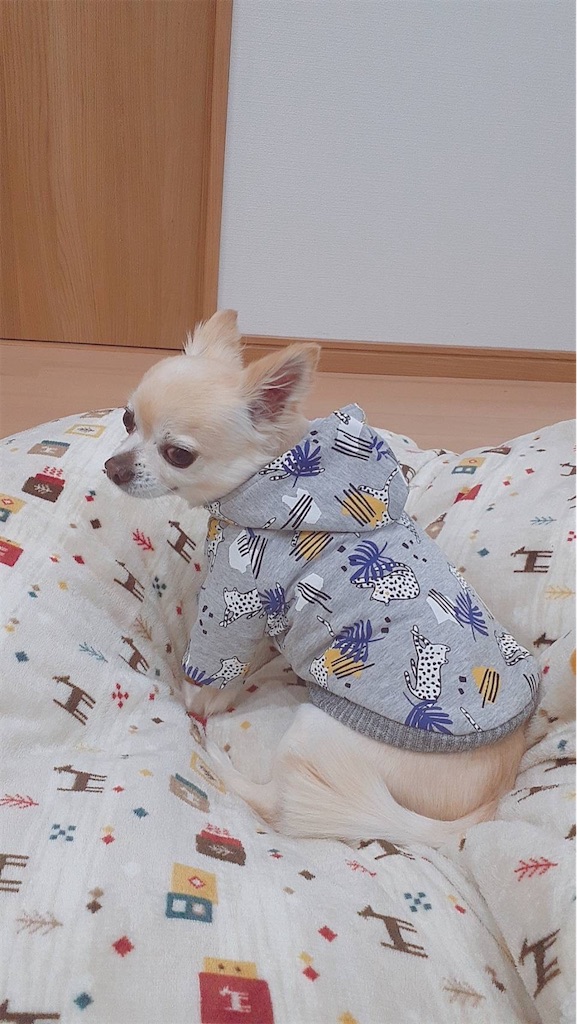 f:id:kuutonon:20211202222406j:image