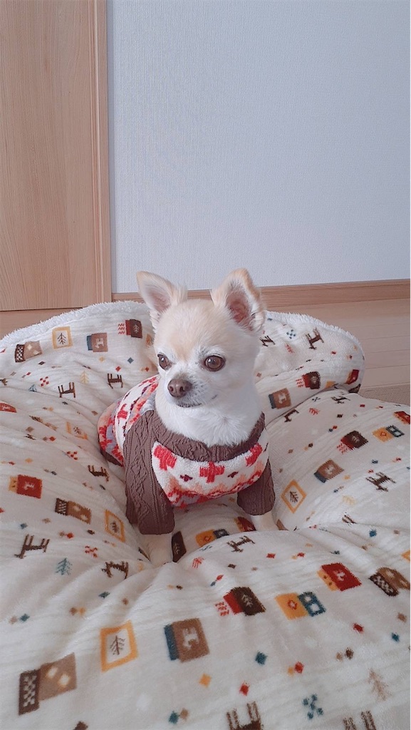 f:id:kuutonon:20211202222434j:image