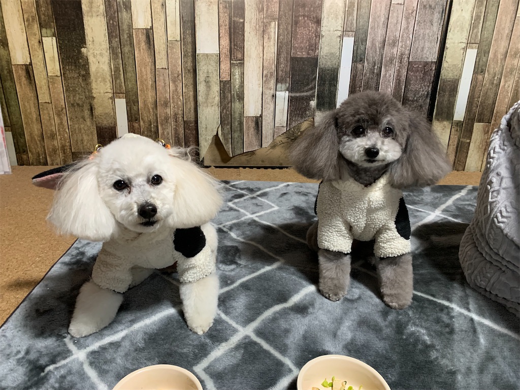 f:id:kuutonon:20211231165158j:image
