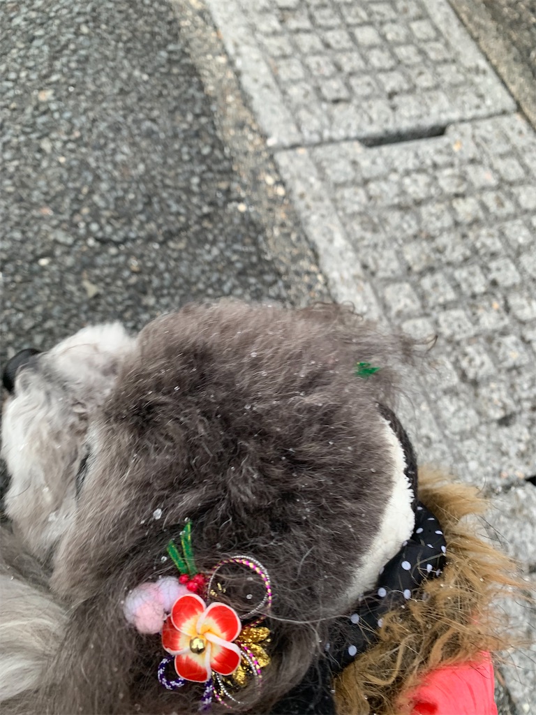 f:id:kuutonon:20211231165633j:image