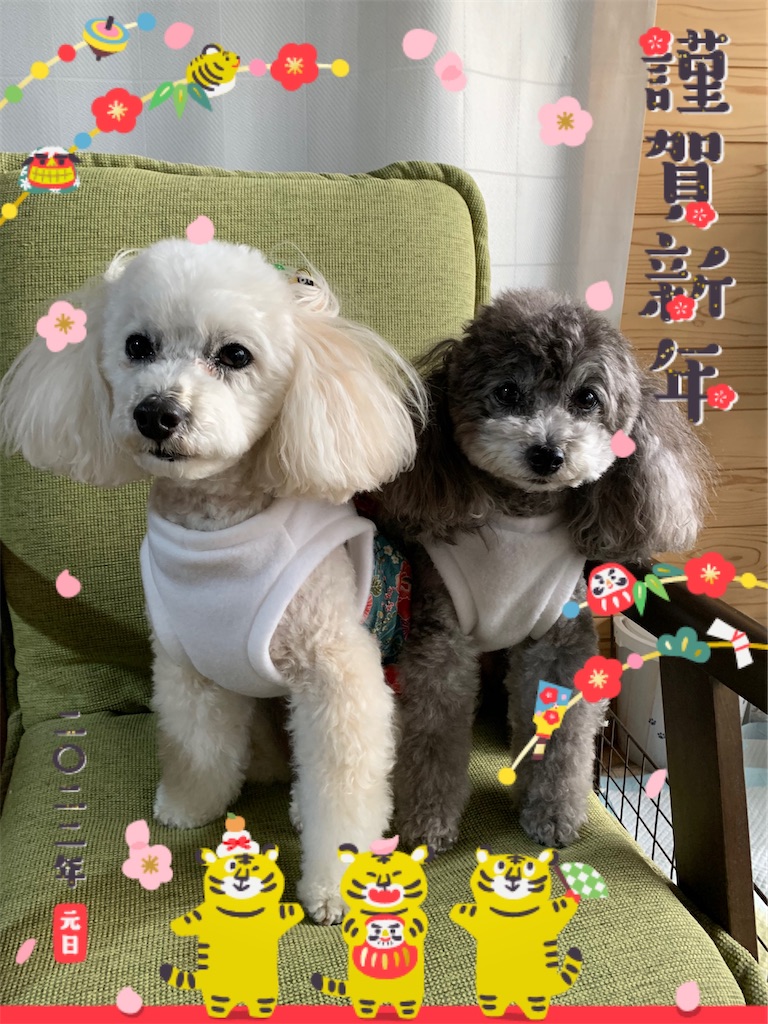 f:id:kuutonon:20220101133252j:image