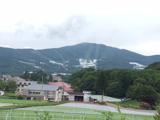 f:id:kuwa-okaya:20160701154821j:plain f:id:kuwa-okaya:20160701154821j:plain