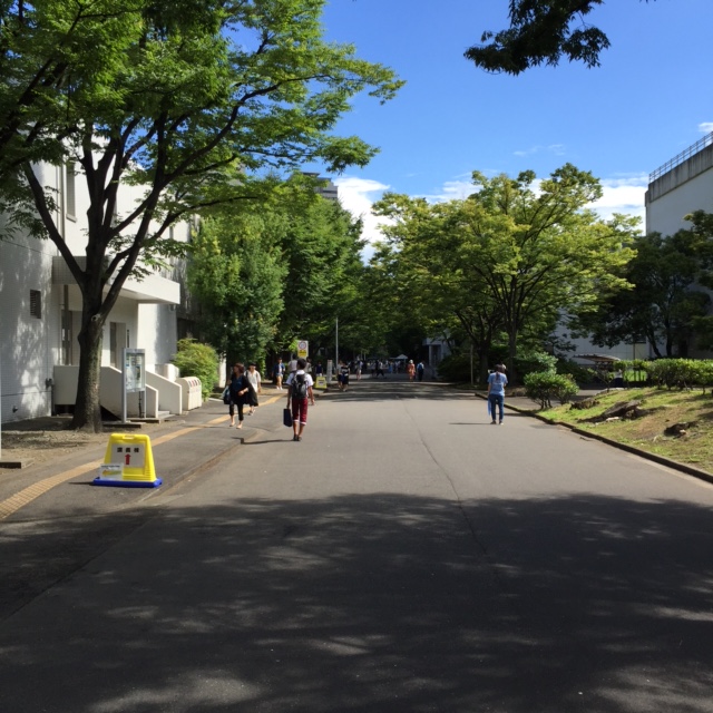 f:id:kuwa-okaya:20160802113906j:plain f:id:kuwa-okaya:20160802113906j:plain