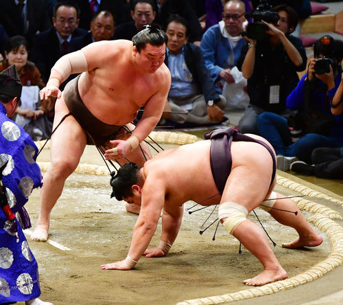 f:id:kuwa3972:20191115184113j:plain