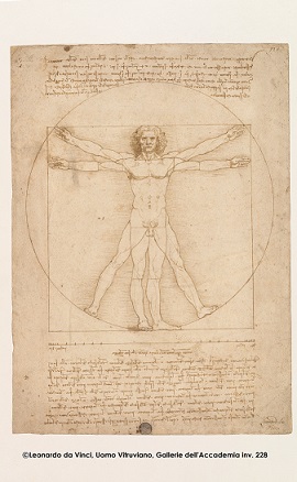 f:id:kuwa3972:20191117123542j:plain