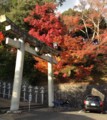 [信貴山][朝護孫子寺]