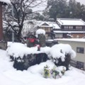 [2014/2/14][奈良][雪]