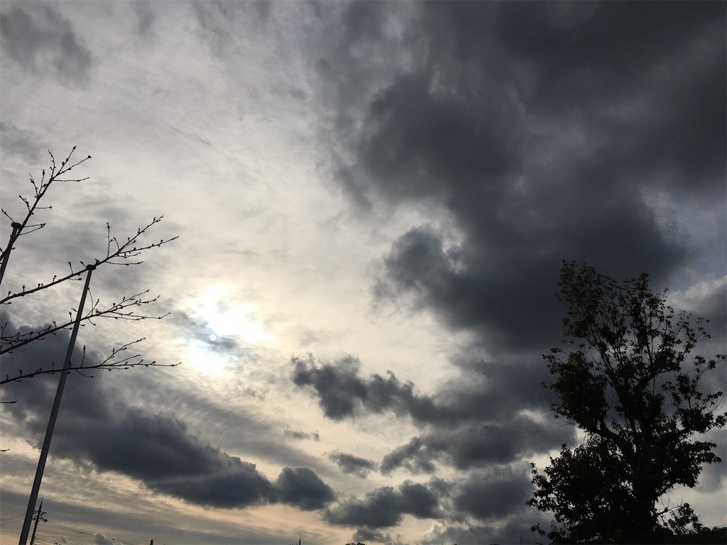 f:id:kuyu:20230127141452j:image