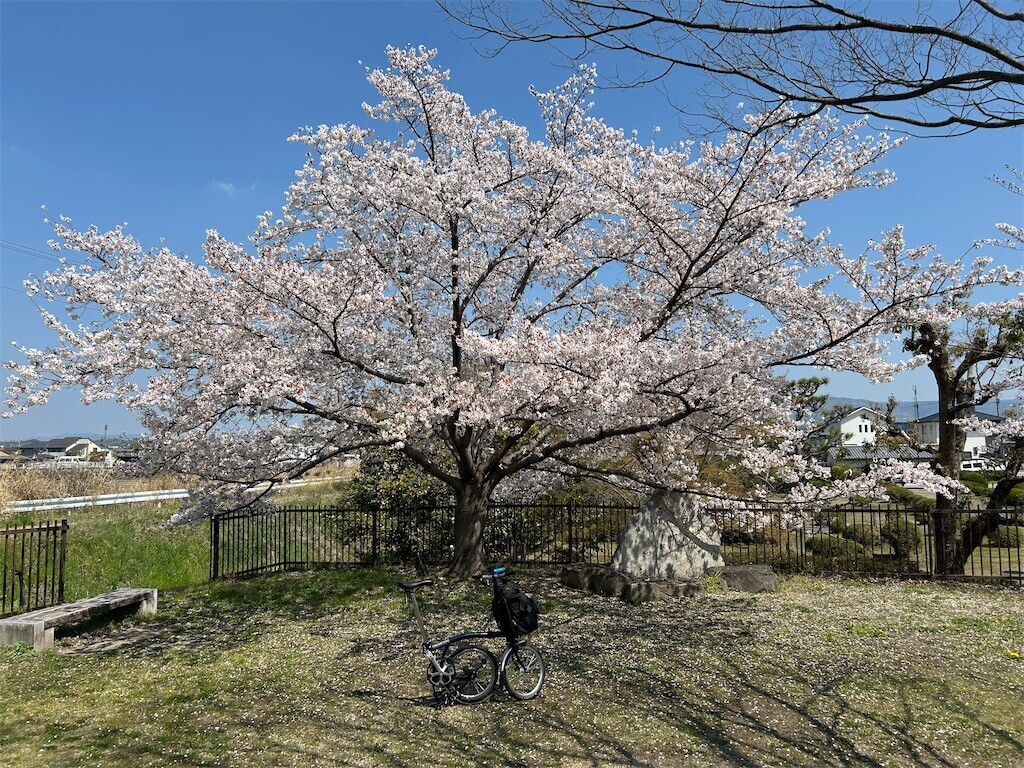 f:id:kuyu:20260405211358j:image