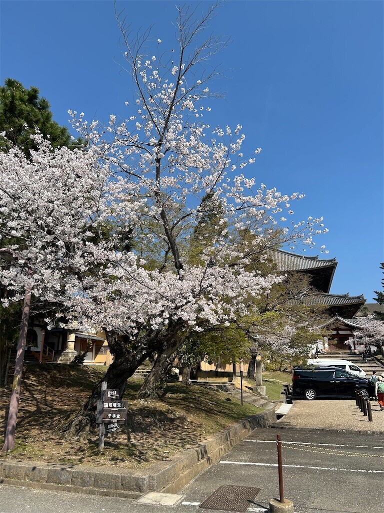 f:id:kuyu:20260405211402j:image