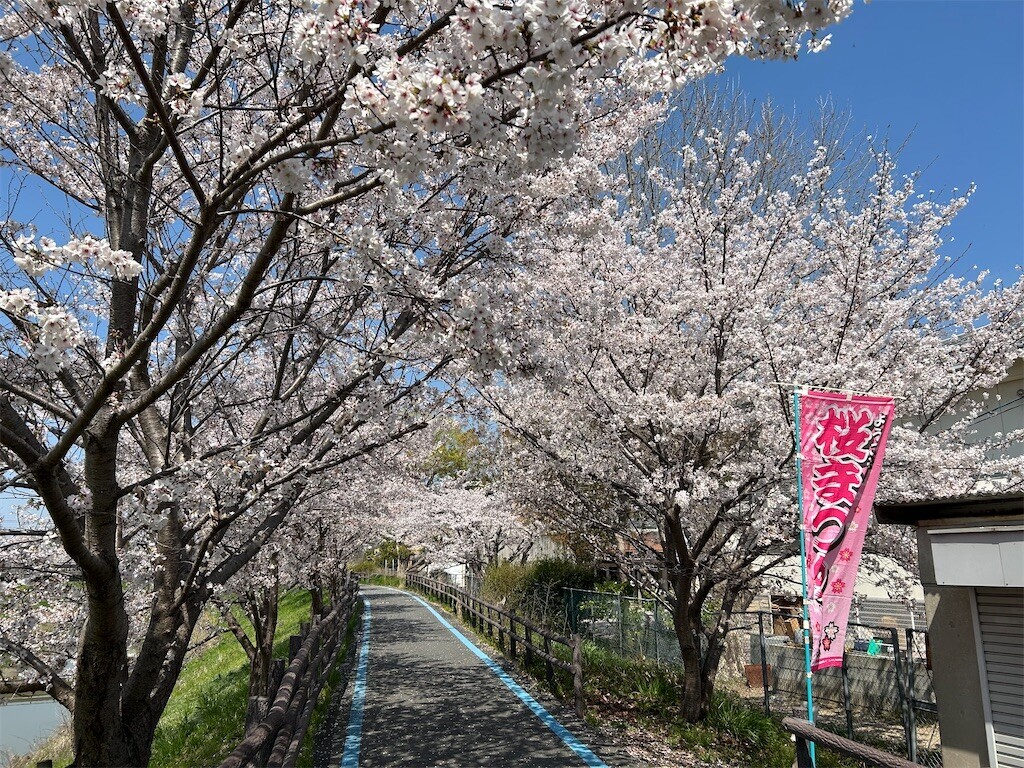 f:id:kuyu:20260405211407j:image