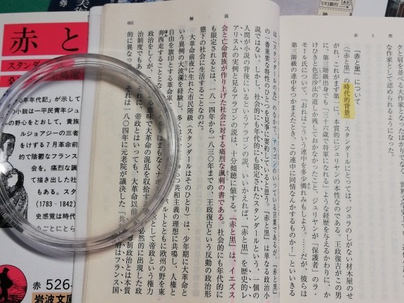 f:id:kuz-akichi:20210227135317j:plain