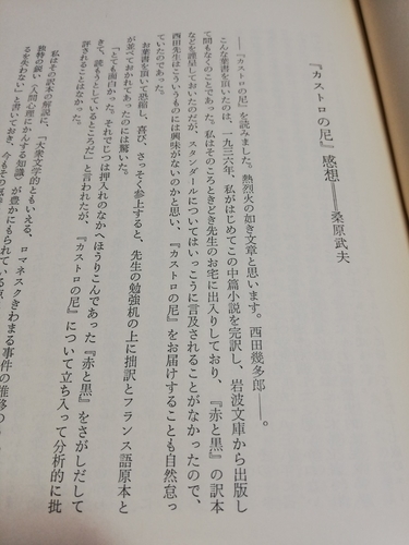 f:id:kuz-akichi:20210403143826j:plain
