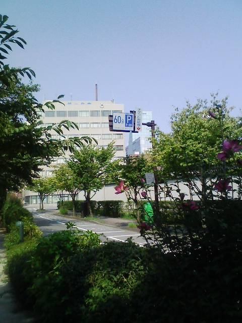 f:id:kuzan:20100901222114j:image