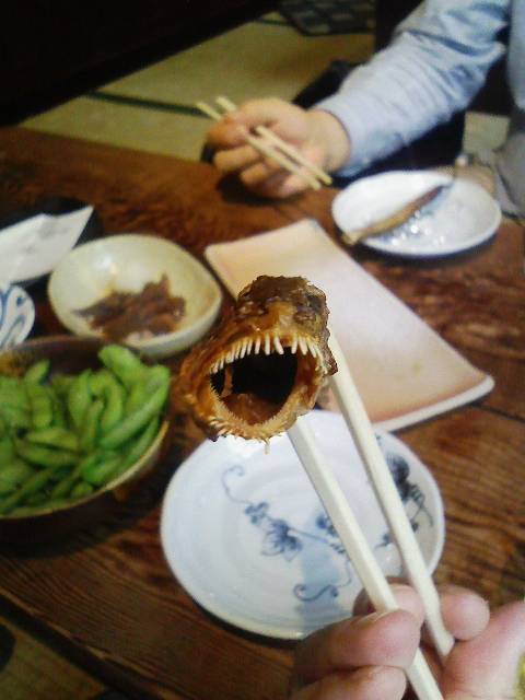 f:id:kuzan:20100901222125j:image