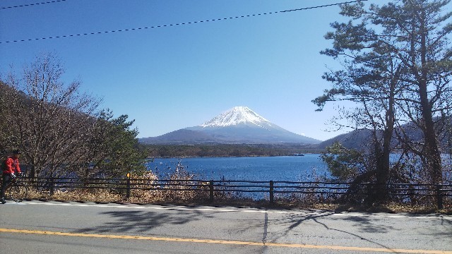 f:id:kuzu_masato:20200305135121j:image f:id:kuzu_masato:20200305135121j:image