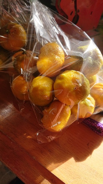 f:id:kuzugesu2:20210125165613j:image f:id:kuzugesu2:20210125165613j:image