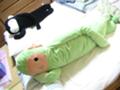 フモ王モチャ