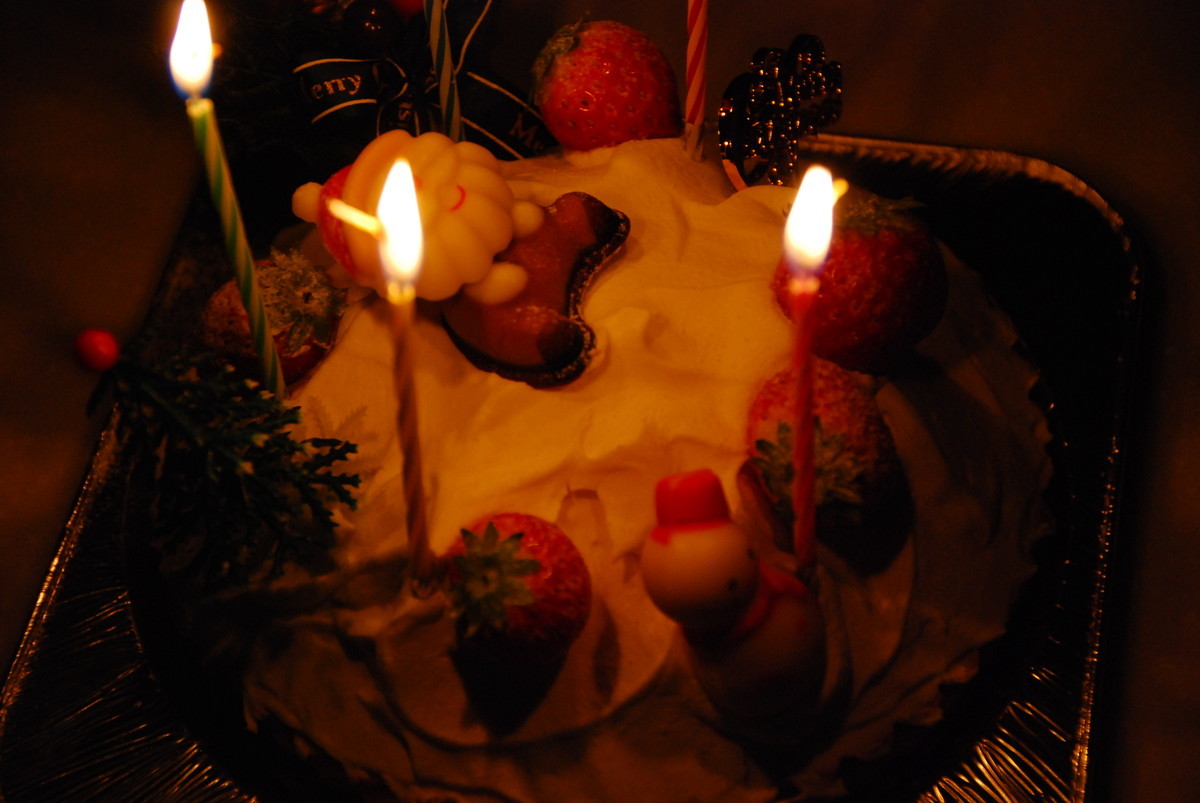f:id:kuzuu:20191224225426j:plain