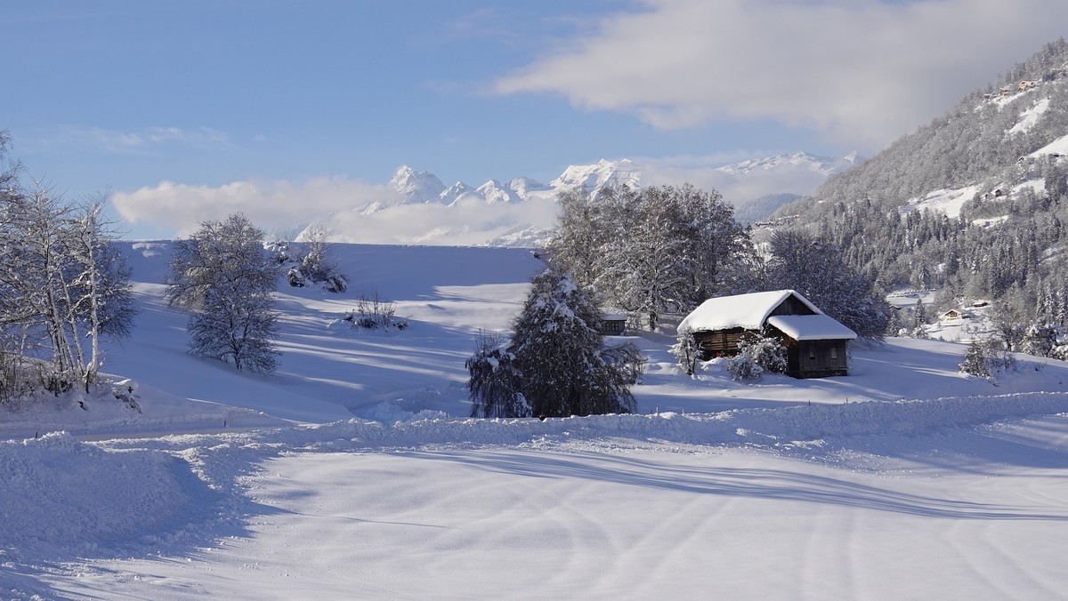 f:id:kuzyo:20210116144953j:plain