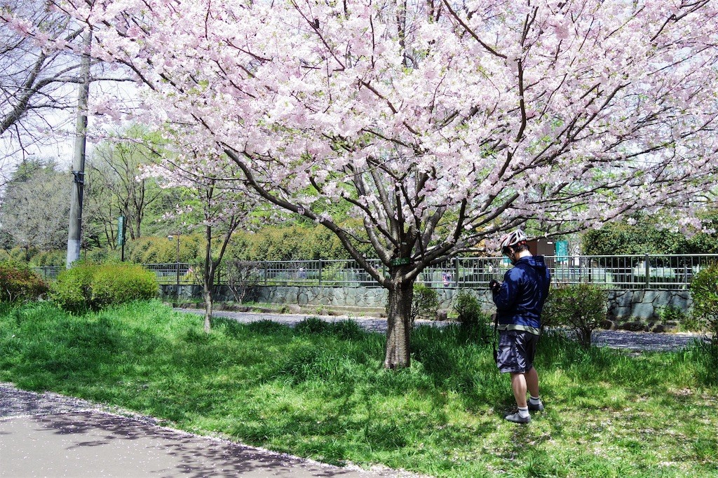 f:id:kwaico:20170416210929j:image