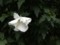 20160716011345