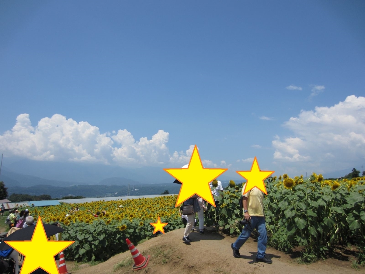 明野　須玉　サンフラワーフェス　ひまわり畑　1泊2日　清里　八ヶ岳