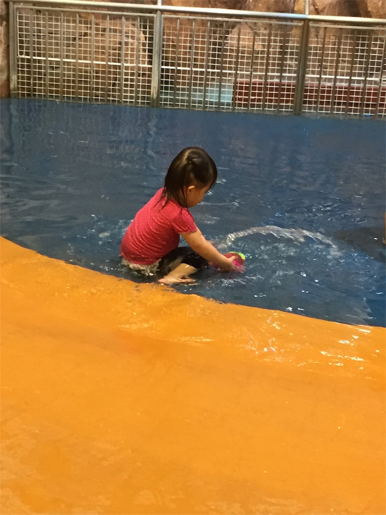 f:id:kwk05e3048:20180608060419j:image f:id:kwk05e3048:20180608060419j:image