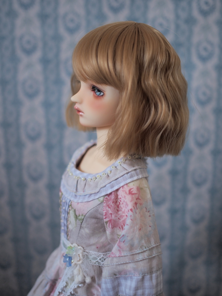 f:id:kwsk_doll:20170520142845j:plain f:id:kwsk_doll:20170520142845j:plain