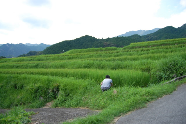 f:id:ky823:20100816141017j:image