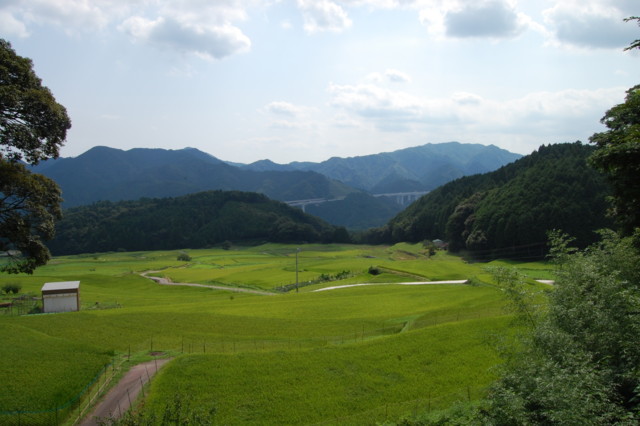 f:id:ky823:20100816142226j:image