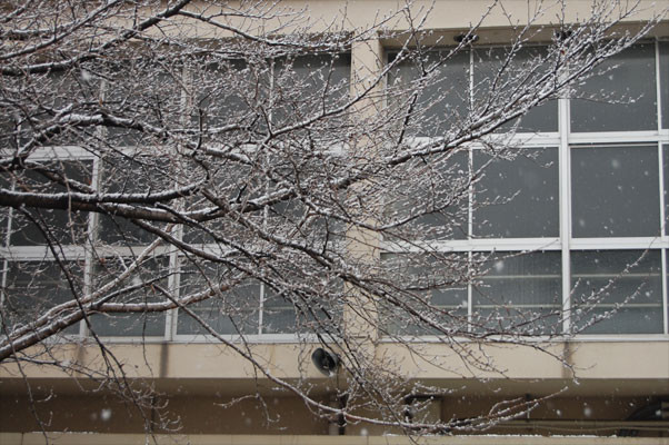 f:id:ky823:20101231230637j:image f:id:ky823:20101231230637j:image