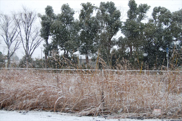 f:id:ky823:20101231230638j:image f:id:ky823:20101231230638j:image