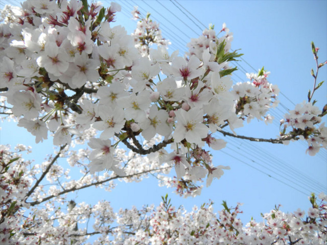 f:id:ky823:20110505204855j:image