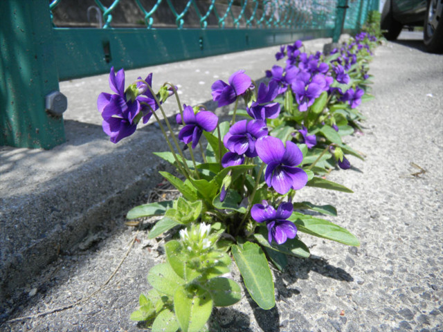 f:id:ky823:20110505204938j:image