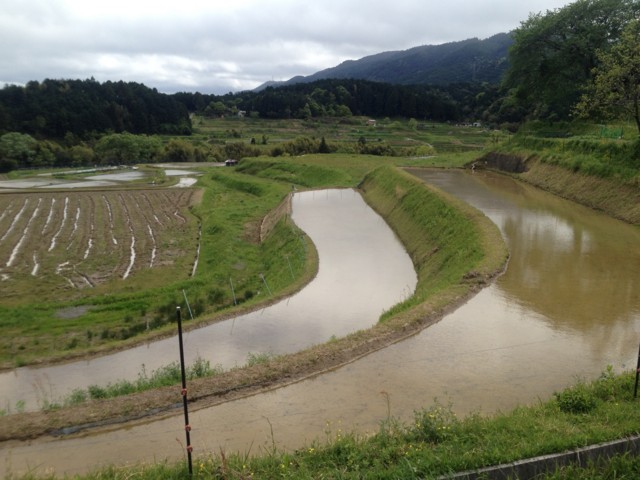 f:id:ky823:20120504141516j:image:w640